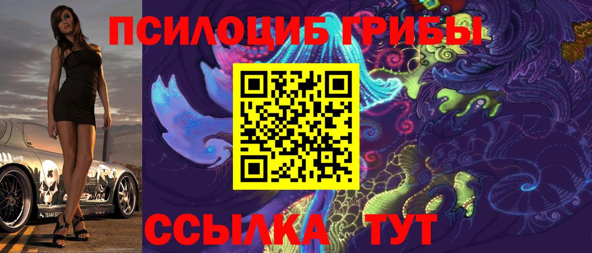Будённовск  Псилоцибиновые грибы GOLDEN TEACHER  Вход с VPN 
